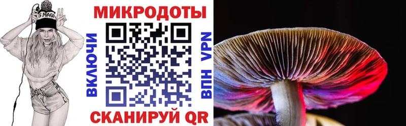 Галлюциногенные грибы мицелий Петушки